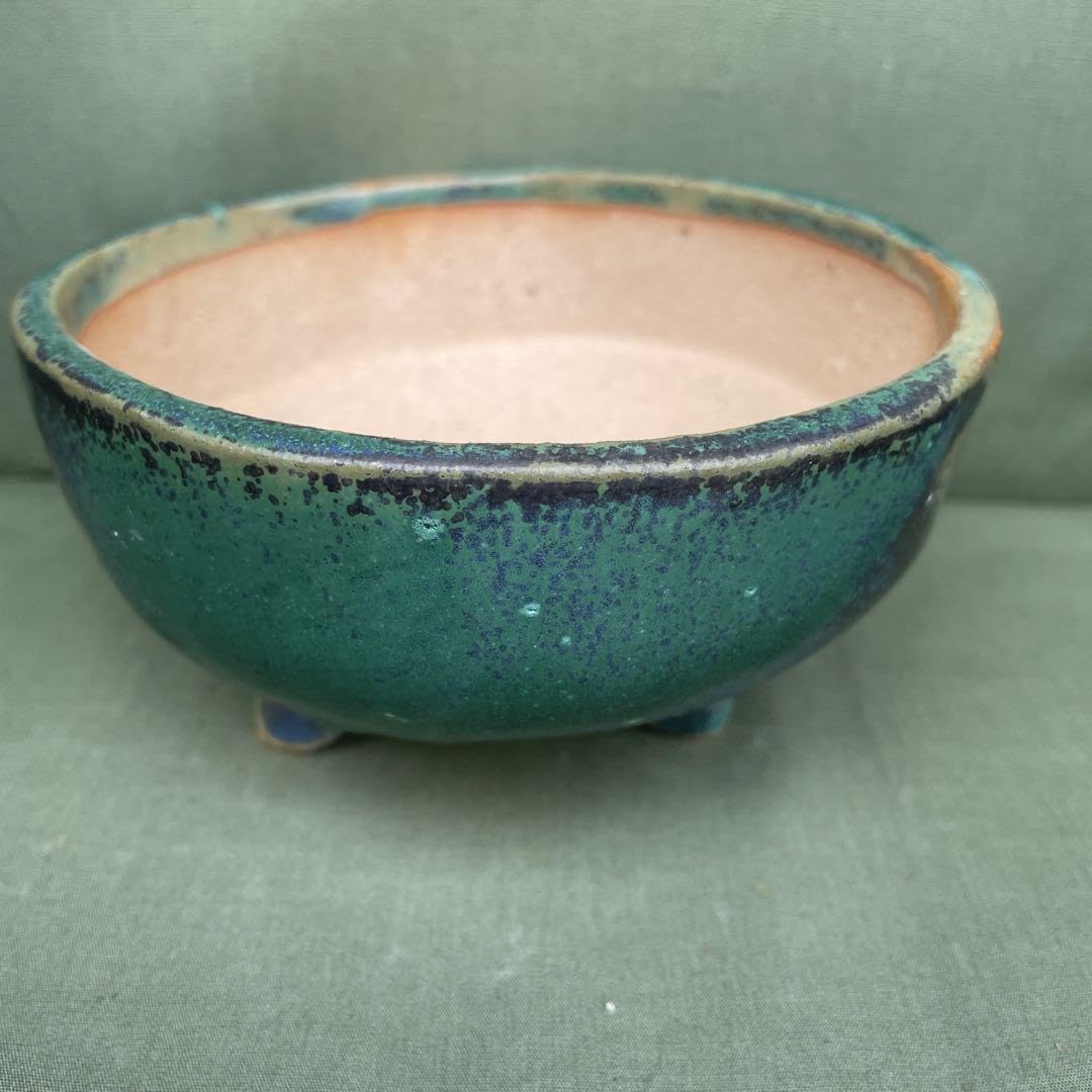 龍正   鉢 春雪墨絵龍図正方鉢 | 盆栽、盆栽書籍、盆栽鉢の通販│近代出版